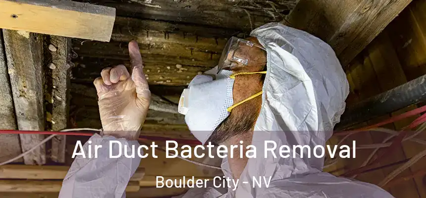  Air Duct Bacteria Removal Boulder City - NV