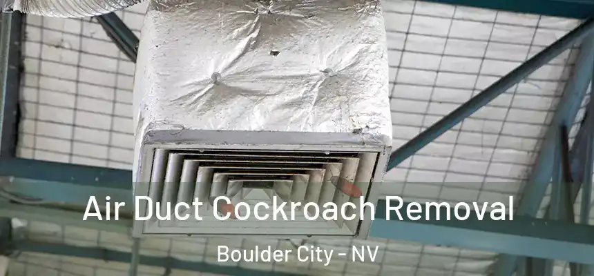Air Duct Cockroach Removal Boulder City - NV