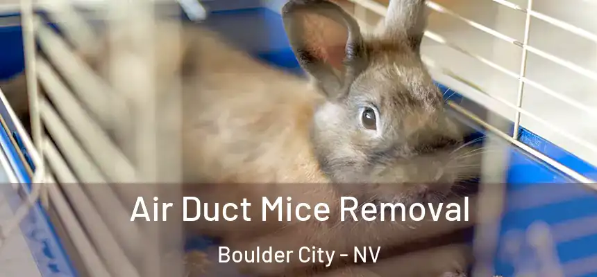  Air Duct Mice Removal Boulder City - NV
