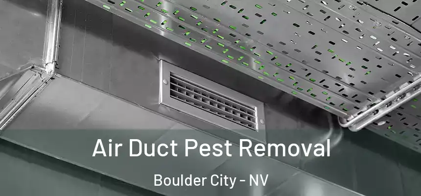 Air Duct Pest Removal Boulder City - NV