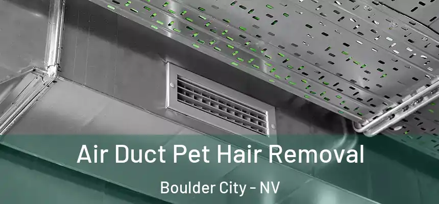  Air Duct Pet Hair Removal Boulder City - NV