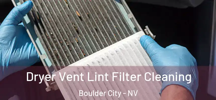  Dryer Vent Lint Filter Cleaning Boulder City - NV