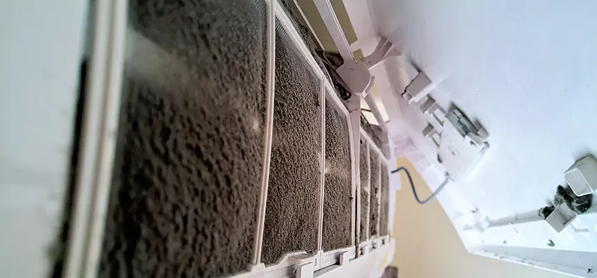 Preventive Air Duct Bacteria Removal in Boulder City