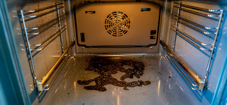 Our Dryer Vent Mold Cleaning Services in Boulder City, NV