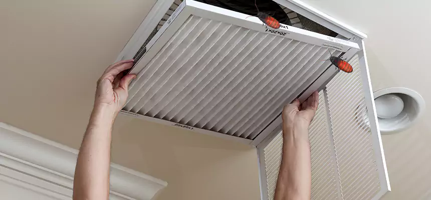 Our Insect Removal from Air Ducts Services in Boulder City, NV