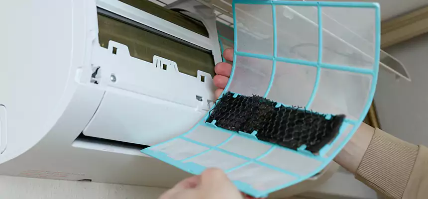 Gentle Ductwork Odor-Control Pet Dander Duct Cleaning in Boulder City, NV