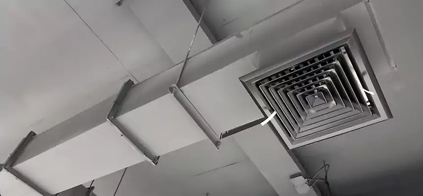 Our Rodent Droppings In Vents Services in Boulder City, NV