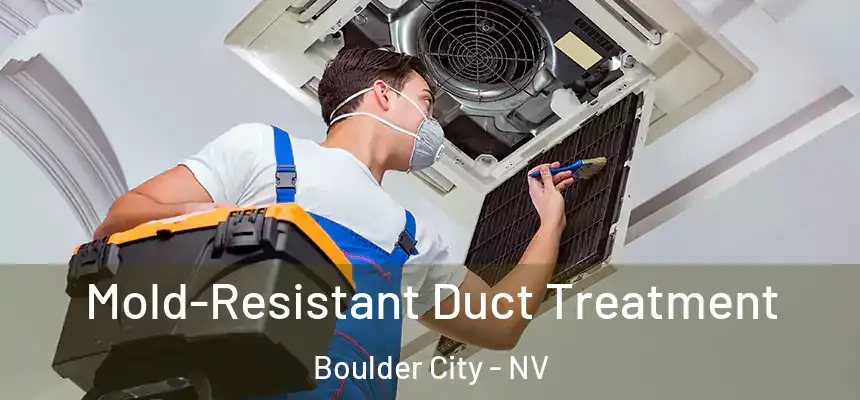  Mold-Resistant Duct Treatment Boulder City - NV