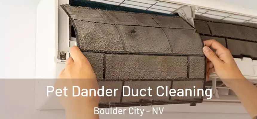 Pet Dander Duct Cleaning Boulder City - NV