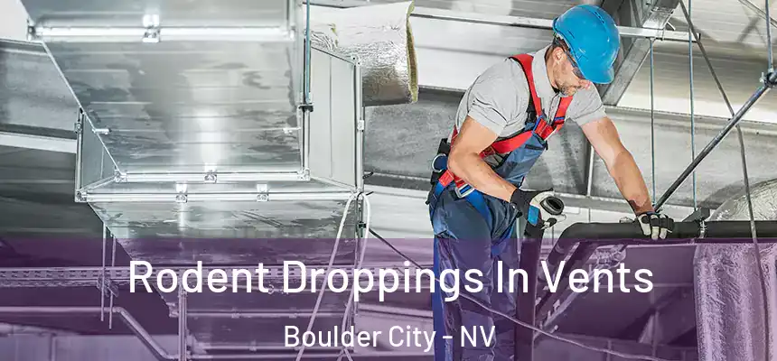 Rodent Droppings In Vents Boulder City - NV