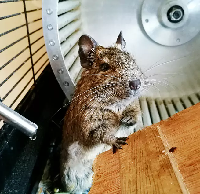 Why Homeowners & Businesses Trust Us Boulder City, NV