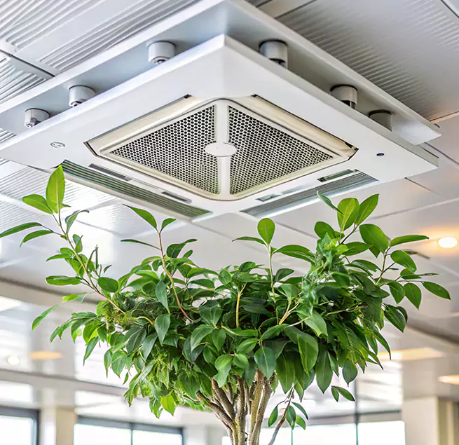 Why Homeowners & Businesses Trust Us in Boulder City, NV?