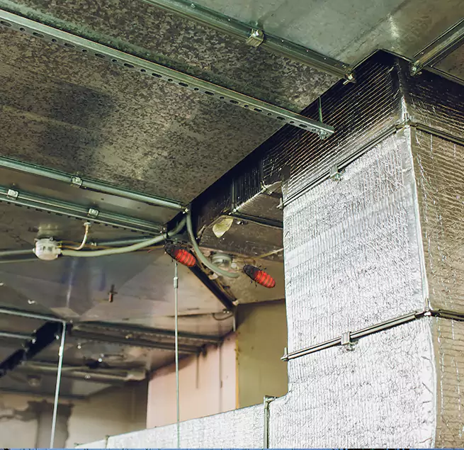 Why Homeowners & Businesses Trust Us Boulder City, NV?